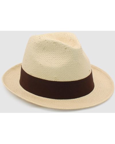 Ace of Something Zwartkop Trilby Hat - Natural