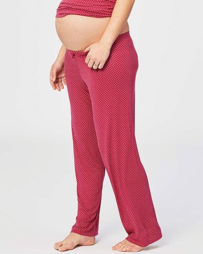 Cake Maternity Rhubarb Torte Lounge & Pyjama Trousers - Red