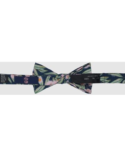 Peggy and Finn Flowering Gum Bow Tie - Blue