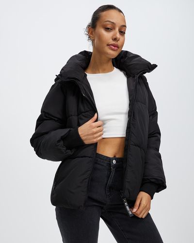 All About Eve Remi Luxe Puffer Jacket - Black