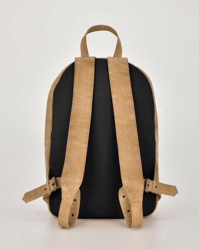Cobb & Co Byron Soft Leather Backpack - Multicolour