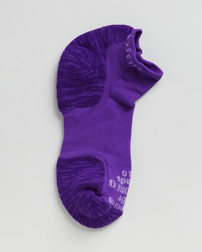 Thorlo Experia Techfit Light Cushion Low Cut Socks - Purple