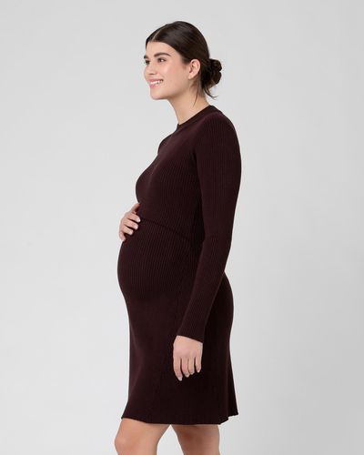 Ripe Maternity Hailey Rib Knit Nursing Dress - Purple