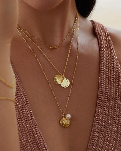 Wanderlust + Co Seashell Locket Necklace - Metallic