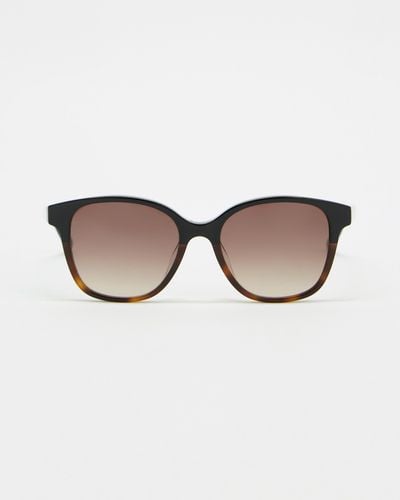 Oroton Dylan Sunglasses - Brown