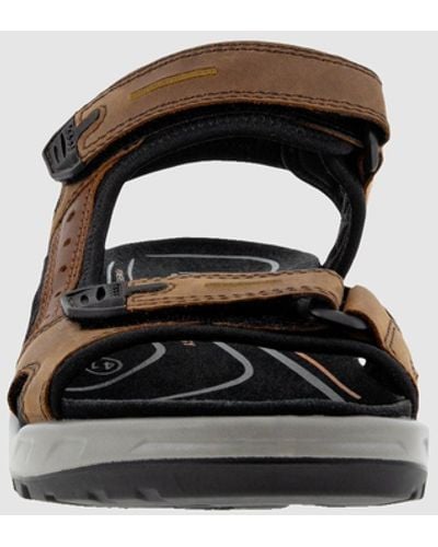 Ecco Offroad Sandals - Brown