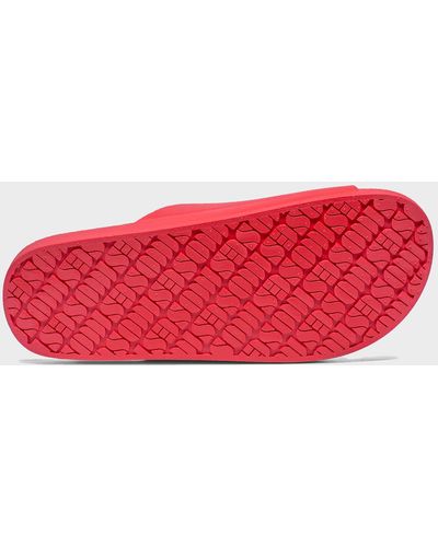 FREEDOM MOSES Slides - Red