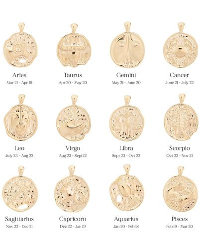 YCL Jewels Large Zodiac Ii Pendant Pisces - White