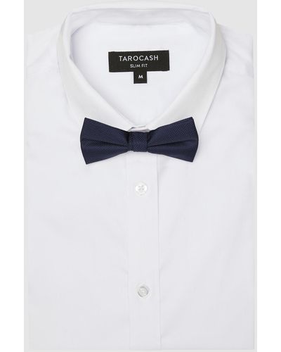 Tarocash Plain Bow Tie - Blue