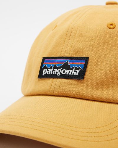 Patagonia P6 Label Trad Cap - Metallic