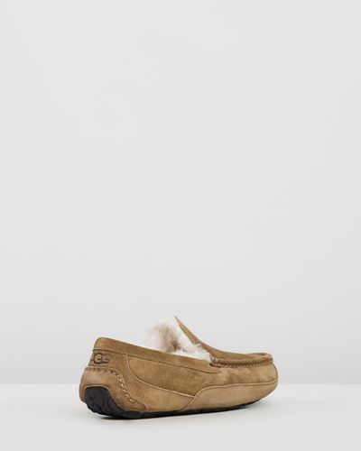 UGG Ascot Slippers - Brown