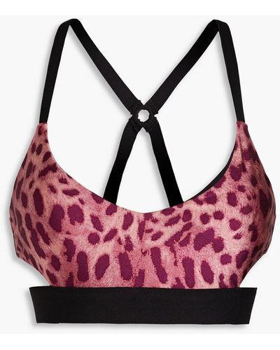 Koral Beau Cutout Leopard-print Stretch Sports Bra - Pink
