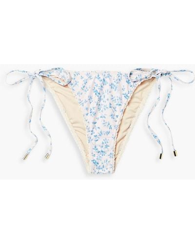 Peony Crochet-trimmed Floral-print Low-rise Bikini Briefs - Blue
