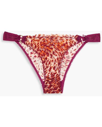 Stella McCartney Embroidered Printed Stretch-lace Mid-rise Briefs