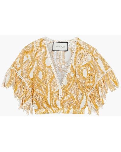 Alexis Marcin Cropped Tassel-trimmed Corded Lace Top - Multicolour