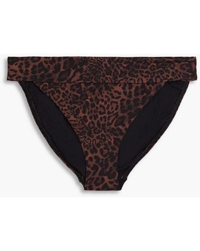 Jets by Jessika Allen Leopard-print Mid-rise Bikini Briefs - Black