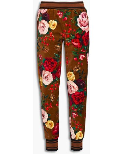 Dolce & Gabbana Floral-print Cotton-blend Velvet Tapered Trousers - Brown