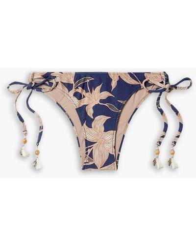 PATBO Stargazer tief sitzendes bikini-höschen mit floralem print und verzierung - Blau