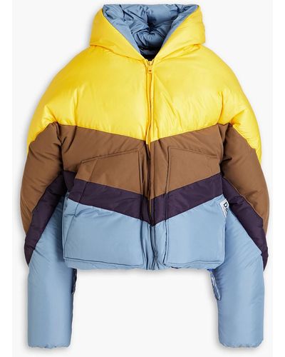Dolce & Gabbana Quilted Color-block Shell Hooded Jacket - Blue