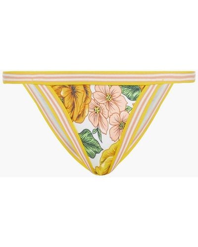 Zimmermann Floral-print Low-rise Bikini Briefs - Yellow