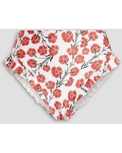 Agua Bendita Jengibre Ruffled Floral-print High-rise Bikini Briefs - Red