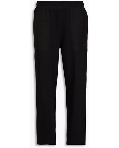 Emporio Armani Appliquéd French Cotton-blend Terry Track Trousers - Black