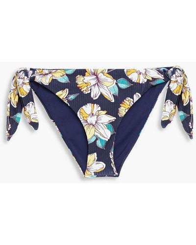 Eberjey Floral-print Ribbed Low-rise Bikini Briefs - Blue