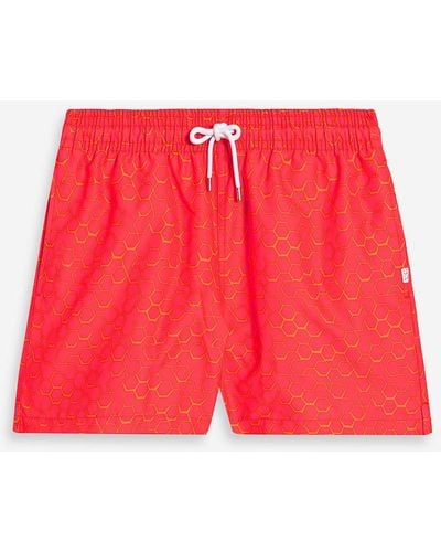 Derek Rose Aruba Mid-length Printed Swim Shorts - Red