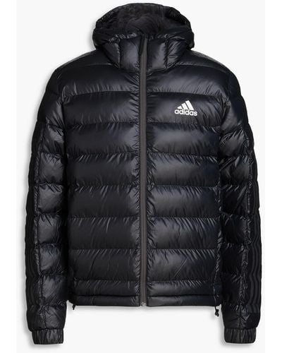 adidas Originals Quilted Shell Hooded Jacket - Black