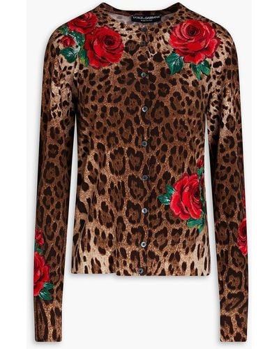 Dolce & Gabbana Embroidered Leopard-print Wool Cardigan