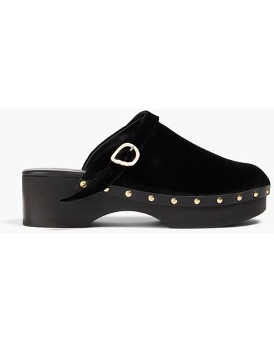 Ancient Greek Sandals Classic Buckled Velvet Clogs - Black