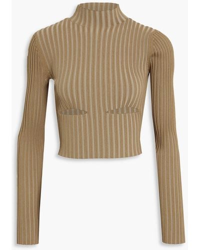 Dion Lee Cropped Cutout Ribbed-knit Turtleneck Top - White