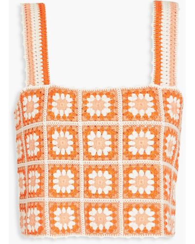 Maje Matucada Cropped Crochet-knit Cotton Top - Orange