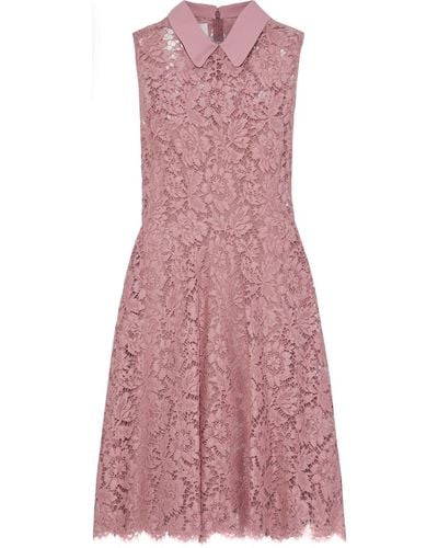 Valentino Garavani Crepe-trimmed Cotton-blend Corded Lace Mini Dress - Pink