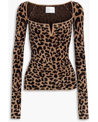 Galvan London Freya Leopard-print Velour Top - Black