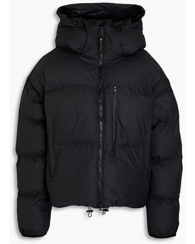 adidas By Stella McCartney Quilted Shell Hooded Jacket - Black