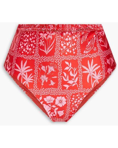 Agua Bendita Nopal Ipanema Escarlata Ruffled Printed High-rise Bikini Briefs - Red