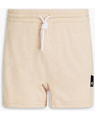 adidas Originals Appliquéd Mélange French Cotton-blend Terry Shorts - Natural