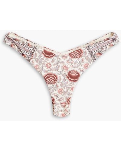Tigerlily Pacheco tief sitzendes bikini-höschen mit floralem print - Pink