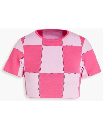 Jacquemus Gelato Cropped Checked Laser-cut Cotton-blend Top - Pink