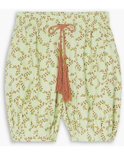 Yvonne S Shorts aus baumwollpopeline mit floralem print - Grün
