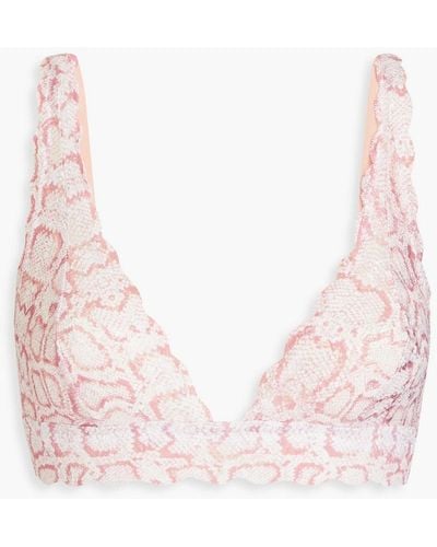 Cosabella Never Say Never Snake-print Stretch-lace Bralette - Pink