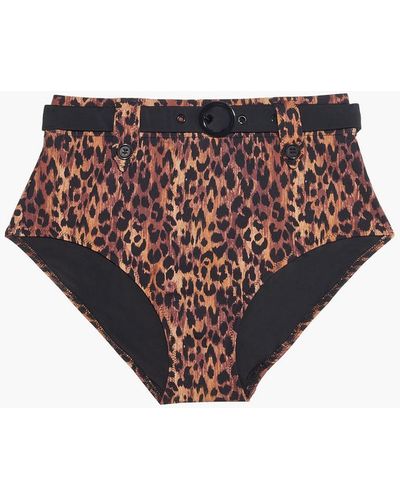 Solid & Striped The Annie Belted Leopard-print High-rise Bikini Briefs - Multicolour