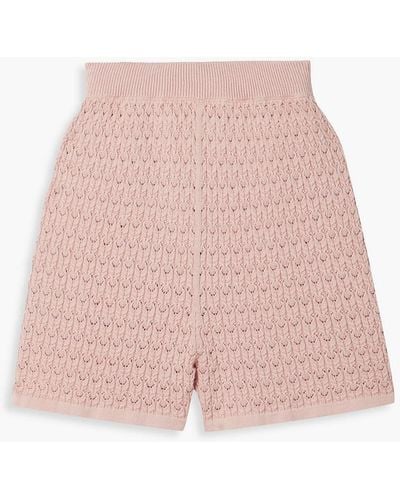 Mr. Mittens Pointelle-knit Cotton Shorts - Pink