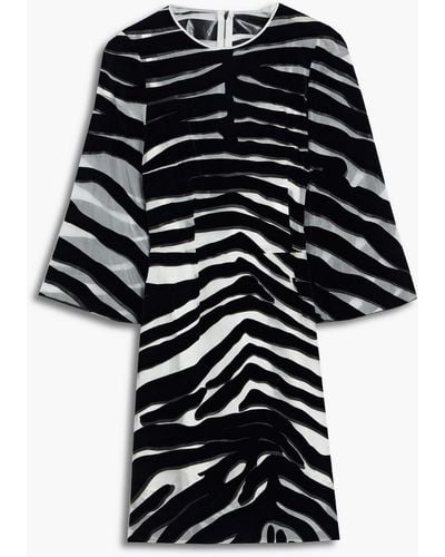 Dolce & Gabbana Flocked Zebra-print Organza Mini Dress - Black