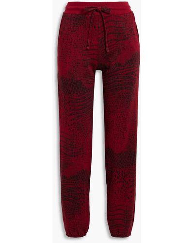 Twenty Printed French Cotton-blend Terry Track Trousers - Red