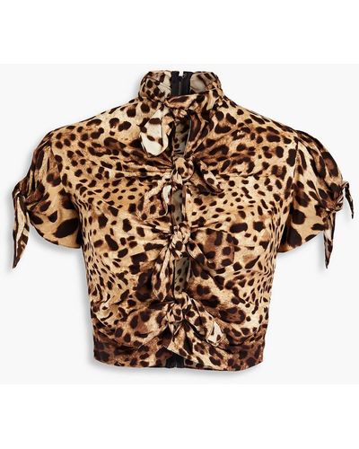 Dolce & Gabbana Cropped Cutout Leopard-print Stretch-silk Crepe De Chine Top - Multicolor
