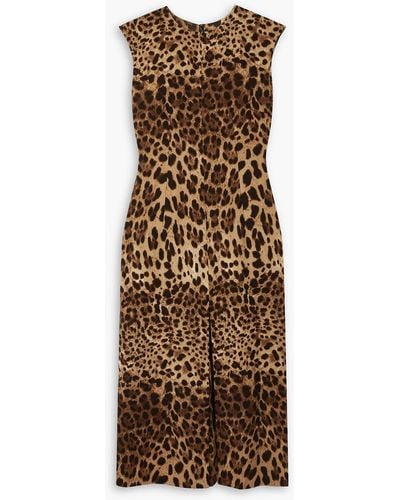 Dolce & Gabbana Leopard-print Wool-crepe Midi Dress - Natural