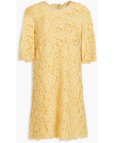Dolce & Gabbana Cotton-blend Corded Lace Mini Dress - Yellow