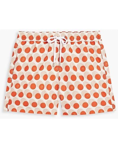 Frescobol Carioca Short-length Printed Swim Shorts - Red